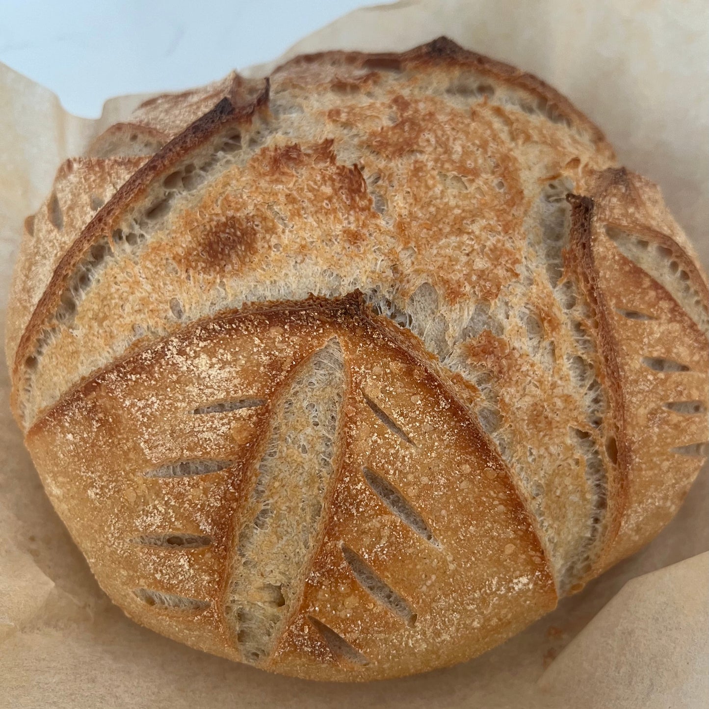 CLASSIC SOURDOUGH TARTINE
