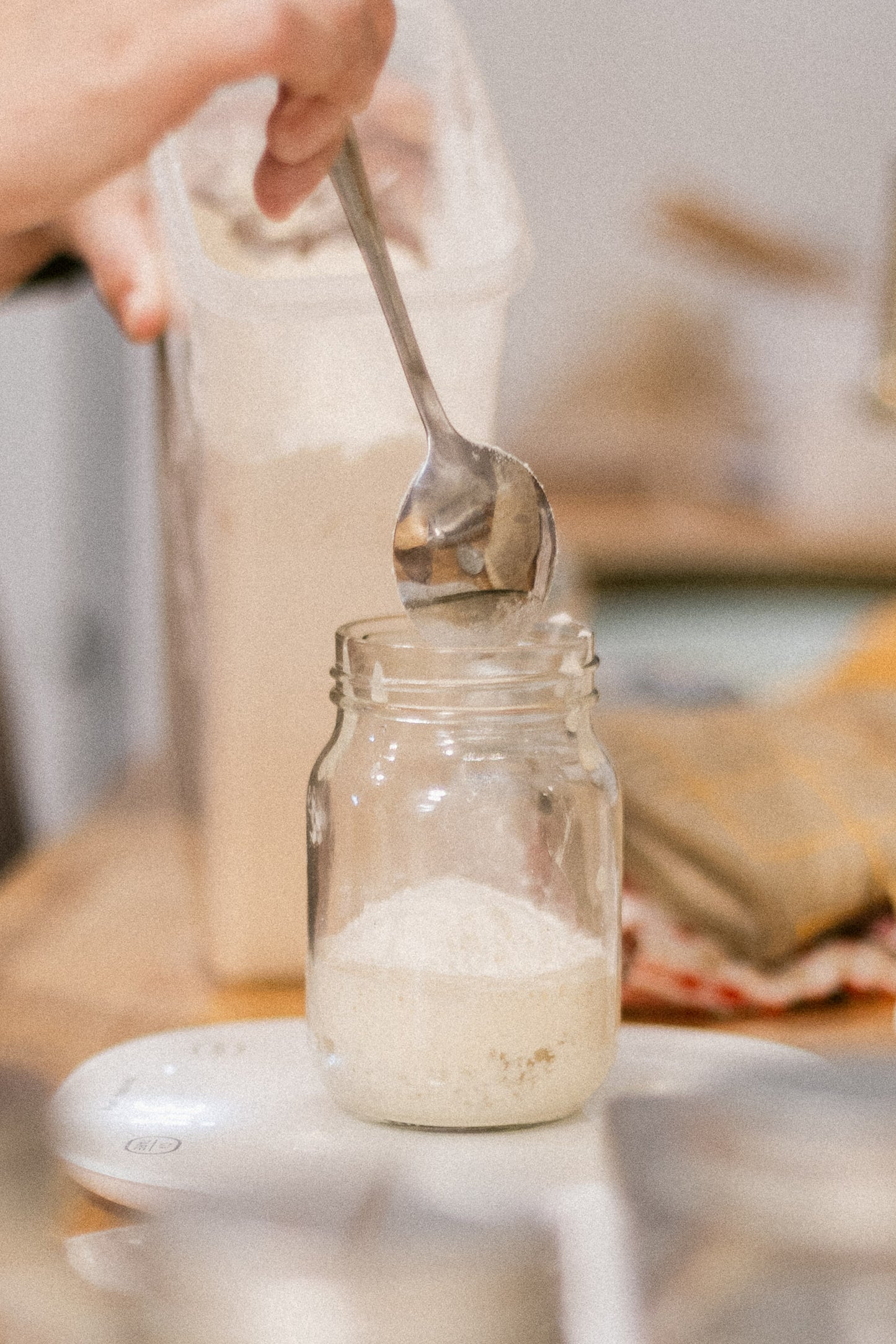 Mature Sourdough Starter