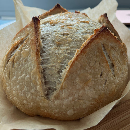 WHOLE WHEAT TARTINE