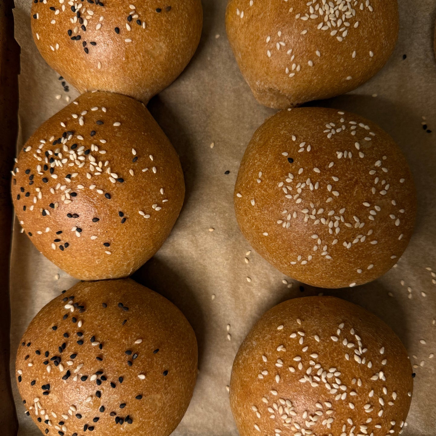SOURDOUGH BURGER BUNS