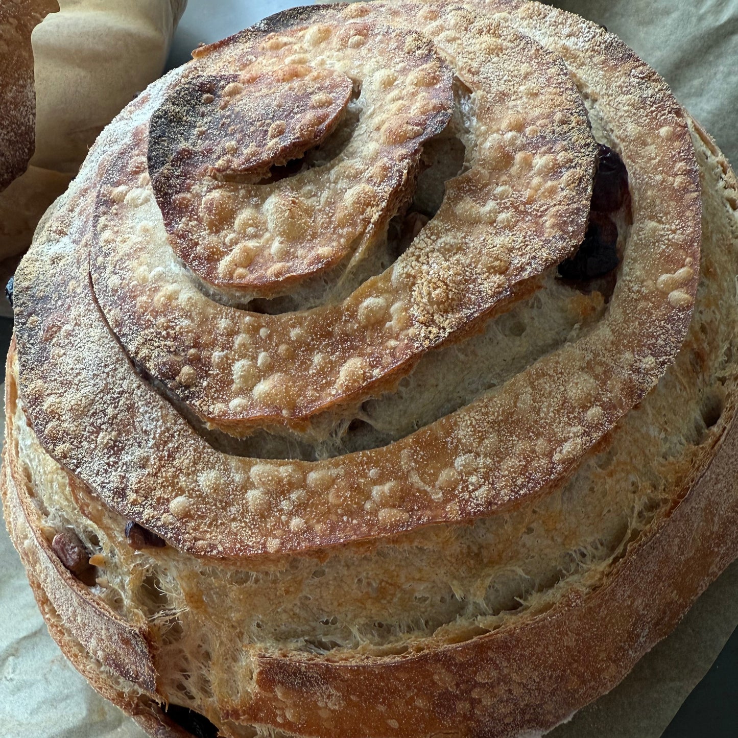 SOURDOUGH CRANBERRY PECAN TARTINE